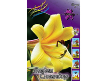 42,4���. ����� ������ ��������(�������� ���� �� 5 ��., ����������� ����� 1��.).jpg