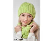 ����� ������ ���� 410