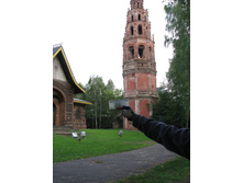 IMG 6940.JPG