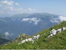 ���� 2014 696.jpg