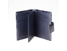 L0400012 371 blue.jpg