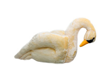 ������ ������ ����������.jpg