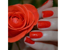 ������� ����� ��� night club nc ��� 477 ������� ����� (����. 3��) 12��