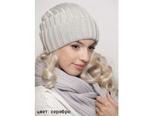 ������ ������ ������� 410