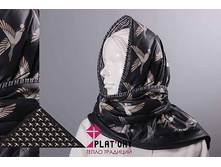 ���� ������.jpg