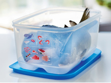 ���������  4,4� ��� ���� � ����. ���� 1312 ���