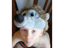 ���. ����