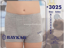 �����-������� �/�������� (������) - ������� �-3025 95� + ��� .����� 112�