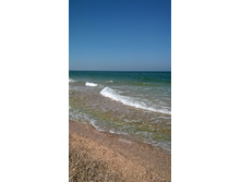 WP 20160906 12 42 45 Pro.jpg