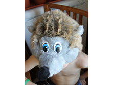 ����� �����