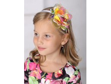 ������ ������� ���2 ���