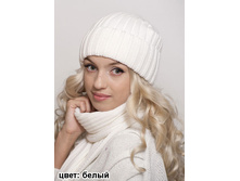 ������ ������ ����� 410