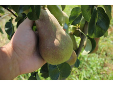 ����� �������� ���������-160�.jpg