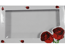 ������� ���������