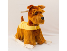 ������ ������������ �������.jpg