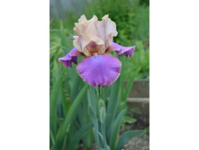 ���� ���� ������ (1��) ������ ���� 301,94 ���. ����� ���� 256,65 ���.jpg