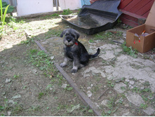 DSCN8057.JPG