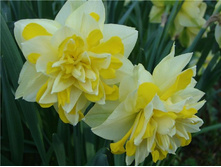 ������� ����� ��� (��������) 12-14 (5��) ������ ���� 159,02 ���. ����� ���� 135,17 ���.jpg