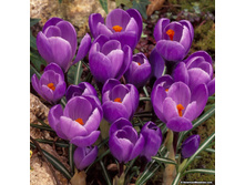 ������ ���������� 7-8 ����������.(25��) ������ ���� 206,64 ���. ����� ���� 175,64 ���.jpg