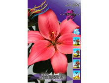 20,3���. ����� ������(��� 10 ��. ���������� ������ 5��.).jpg