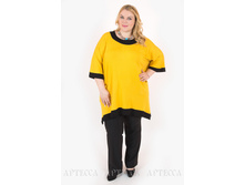 ������ V205.9