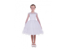 ������ DS*C7335.jpg