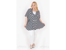 ������ V006.11