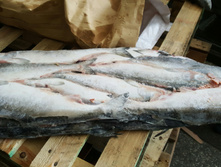 ������� � ������� , ���� �����