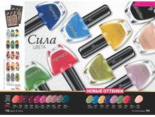 2016 13 cat ru 057.jpg