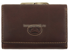 Tony Perotti Italico 331205/2