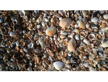 WP 20160906 09 54 49 Pro.jpg