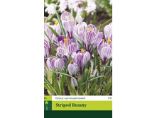 ������ ��������������� Striped Beauty