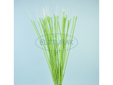 84324 ������� �� ���������� ����� �� ������ ������-��̣��� 80 �� (40 ��. � ����.) 143 ���.