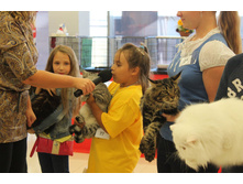 14257659 1102191186529600 502458009317646338 o.jpg