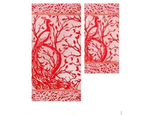 ��������� ��������. ������:Nature