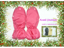 ���� ����� (2).jpg