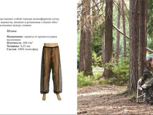 �������� ����.jpg