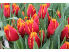 ������� ����� ��� ��������� ������. ����� ������ �� ���������.jpeg