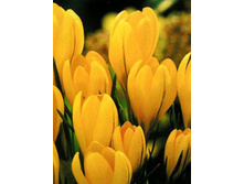 ������ ��������� 6-7 ������������ (25��) ������ ���� 185,69 ���. ����� ���� 157,84 ���.jpg