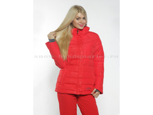 �-8177 �������