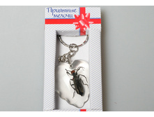 ������ ����� 430074 ��� ��� 15 ���.jpg