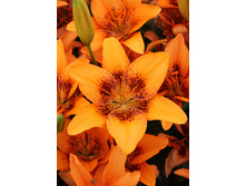 28,9���. ����� ��������(��� 5 ��. ���������� ������ 2 ��� 3 ��.)���16.jpg