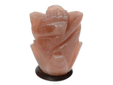 ������� ����� ���� 1496�