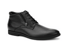 BV6*R-WF2*79011/1_4355 ���