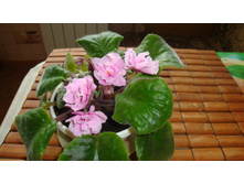 ��-������