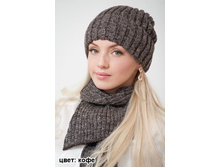 ������ ������ ���� 410