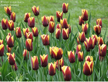 ������� ������ 115,2 ���. ��. (� ��� 5 ��.) �������� � ���� � ���������. ����� ����������� ��������. ������ 1 ��� 2 �������� ��� �����.png