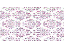 Curioso ��������� ��������