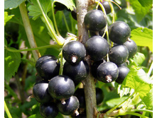 ��������� �������� �2-180�.jpg