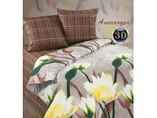 ����������(���� � ��� 255).jpg